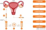 2024年沈陽(yáng)婚假新規(guī)定,包括周六、周日在內(nèi)的官方回應(yīng)包和平區(qū)