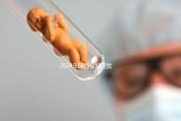 2024年陜西省規(guī)定發(fā)放獨(dú)生子女費(fèi),包括咸陽市補(bǔ)貼標(biāo)準(zhǔn)和領(lǐng)取流程