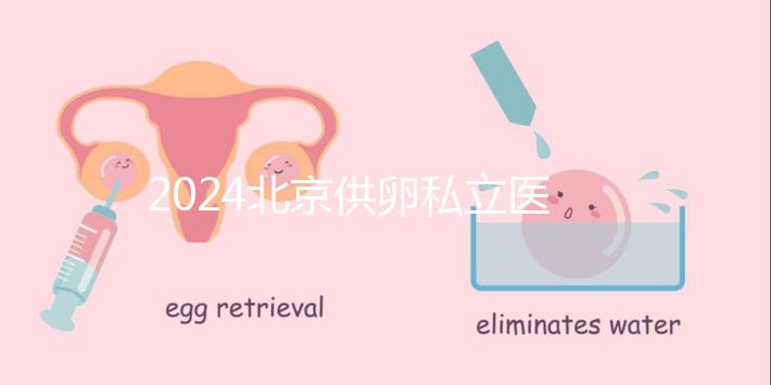 2024北京供卵私立醫院排行一覽，這三家機構竟在名單中