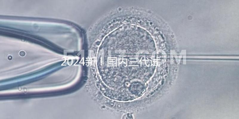 2024新!國內(nèi)三代試管醫(yī)院推薦:共10家機(jī)構(gòu)名單