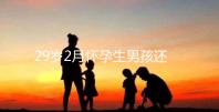 29歲2月懷孕生男孩還是女孩?清宮表2023帶你預測結果