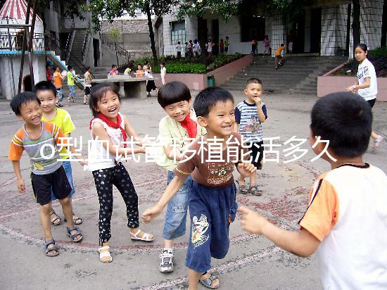 o型血試管移植能活多久?壽命長的關鍵在于這些點