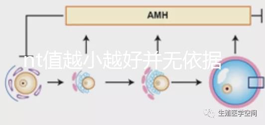 nt值越小越好并無依據(jù),孩子聰明與否可不能這么判斷